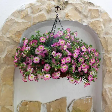 בית נופש House To Grace *